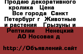 Продаю декоративного кролика › Цена ­ 500 - Все города, Санкт-Петербург г. Животные и растения » Грызуны и Рептилии   . Ненецкий АО,Носовая д.